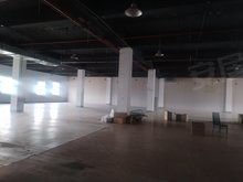 浦口高新区10000平厂房出租，可分租，电力充足，配备行车